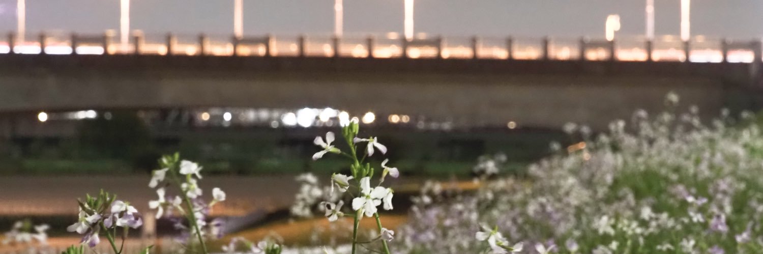tachitatatata's profile banner image