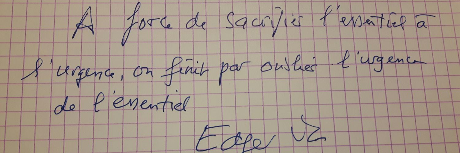 Claire Moutarde banner