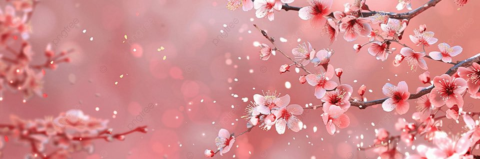 Bchan7M's profile banner image