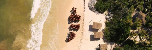 chilipiper Profile Banner