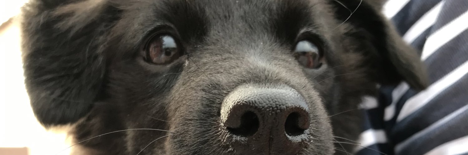 lunaureay's profile banner image