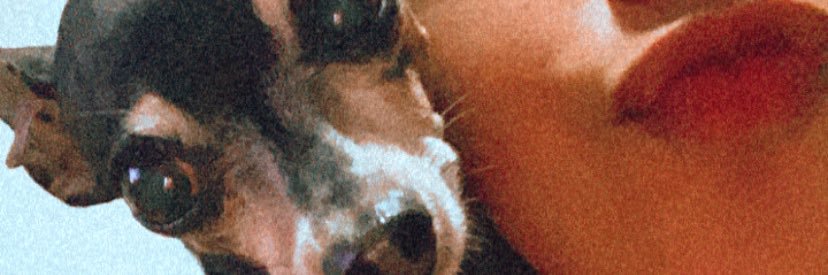 _oidelo's profile banner image