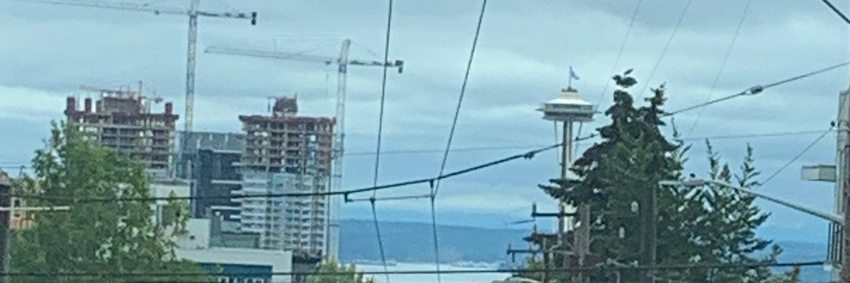 chisatq's profile banner image