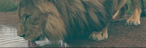 Andresxme's profile banner image