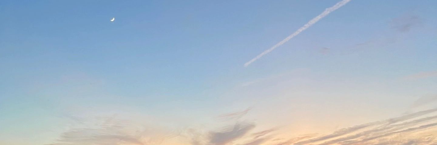 syan__a's profile banner image