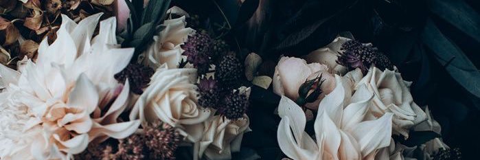 s_31907's profile banner image