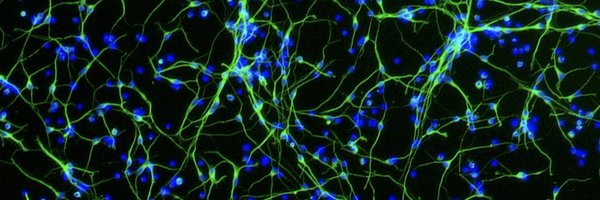 AlexDeCasien Profile Banner