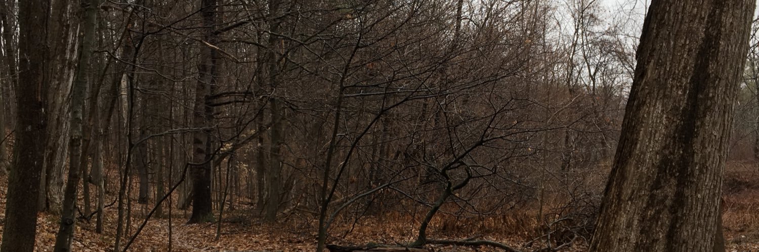 radiance_prime's profile banner image