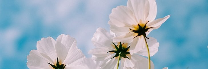 ruthevaa's profile banner image