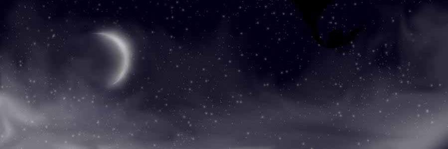 nightfury626's profile banner image