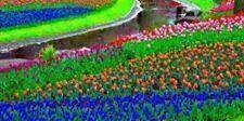 MadeDidi's profile banner image