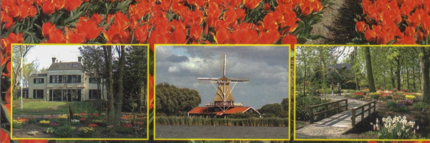 Jos van Kuijeren banner