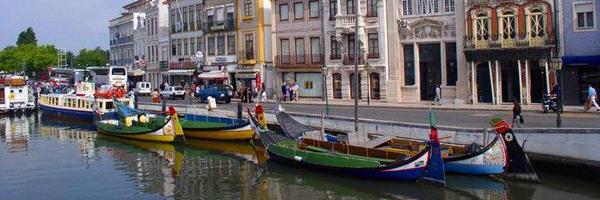 proseiro Profile Banner