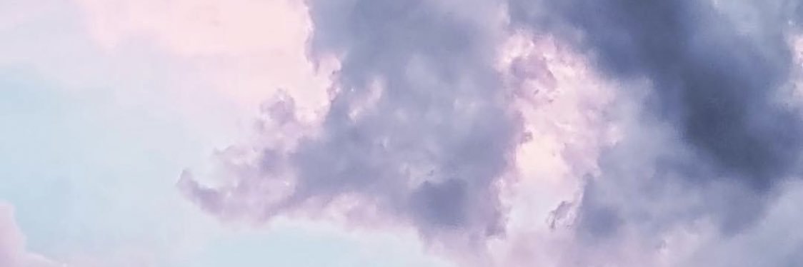 skyfendrick's profile banner image
