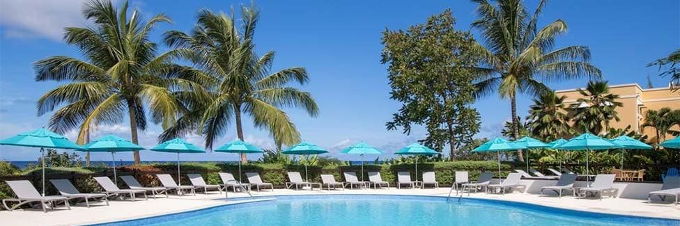 Alex Brownlee banner