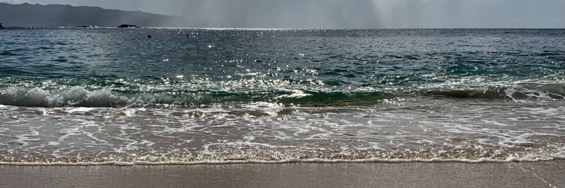 Dina Eparkhina banner