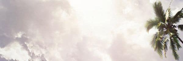 Lt. Col. Franklin Clay banner
