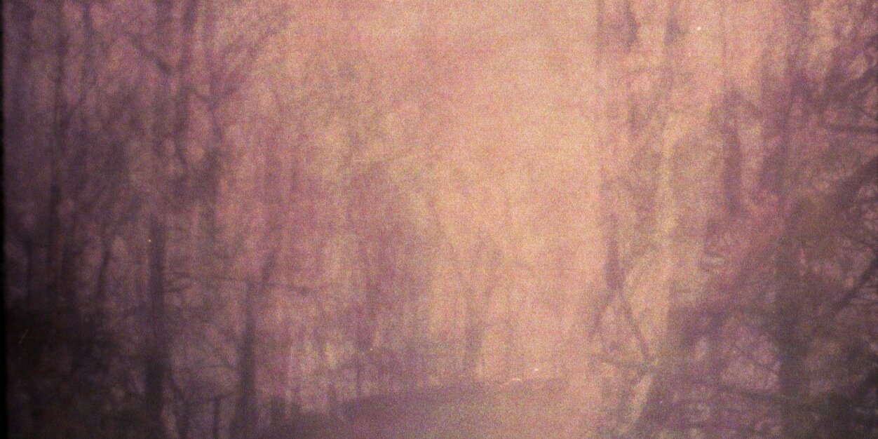 lolamiau_'s profile banner image