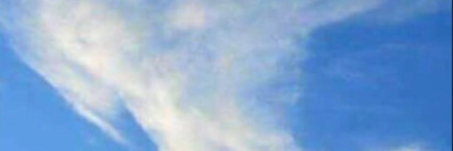 leserul's profile banner image