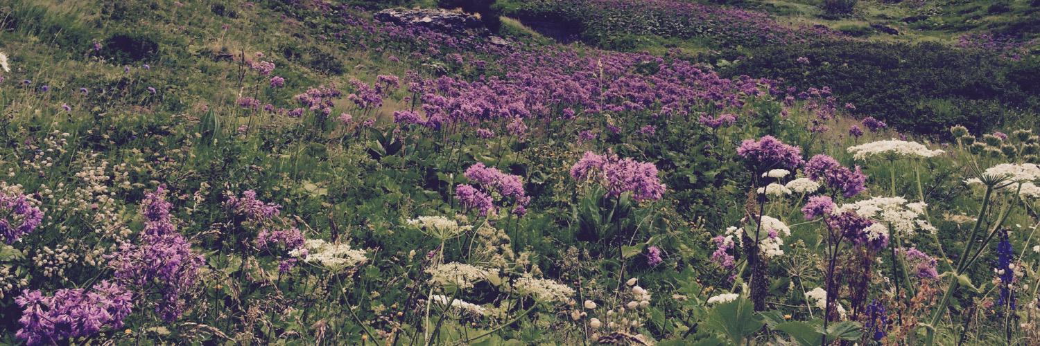 Emma J Bartholomew banner