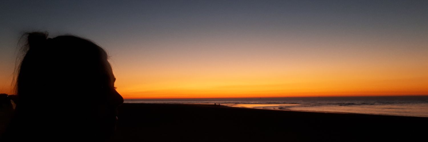 SarSalGon's profile banner image