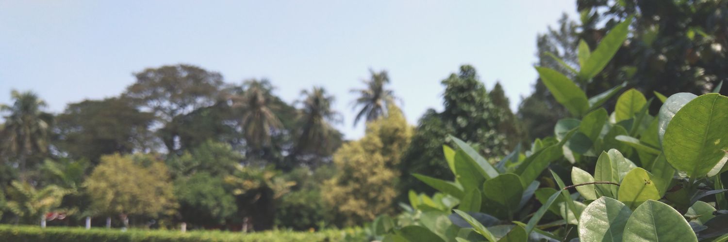 TrishaWL's profile banner image