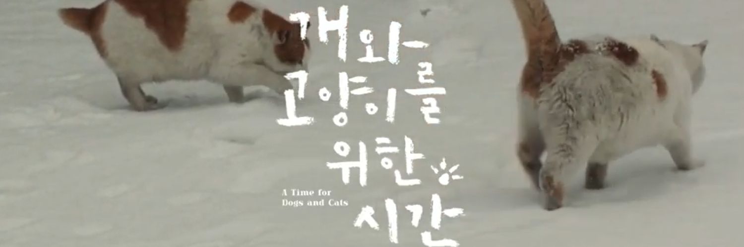 🎗️ 2017년생 래아 banner