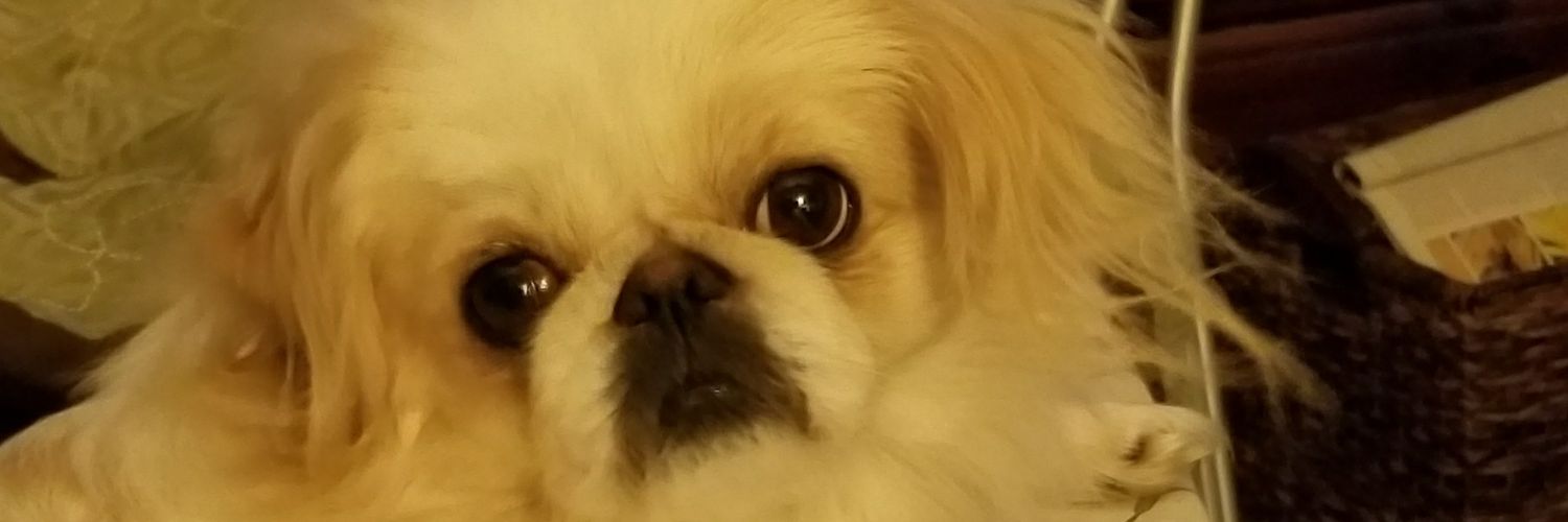 freckles1999201's profile banner image