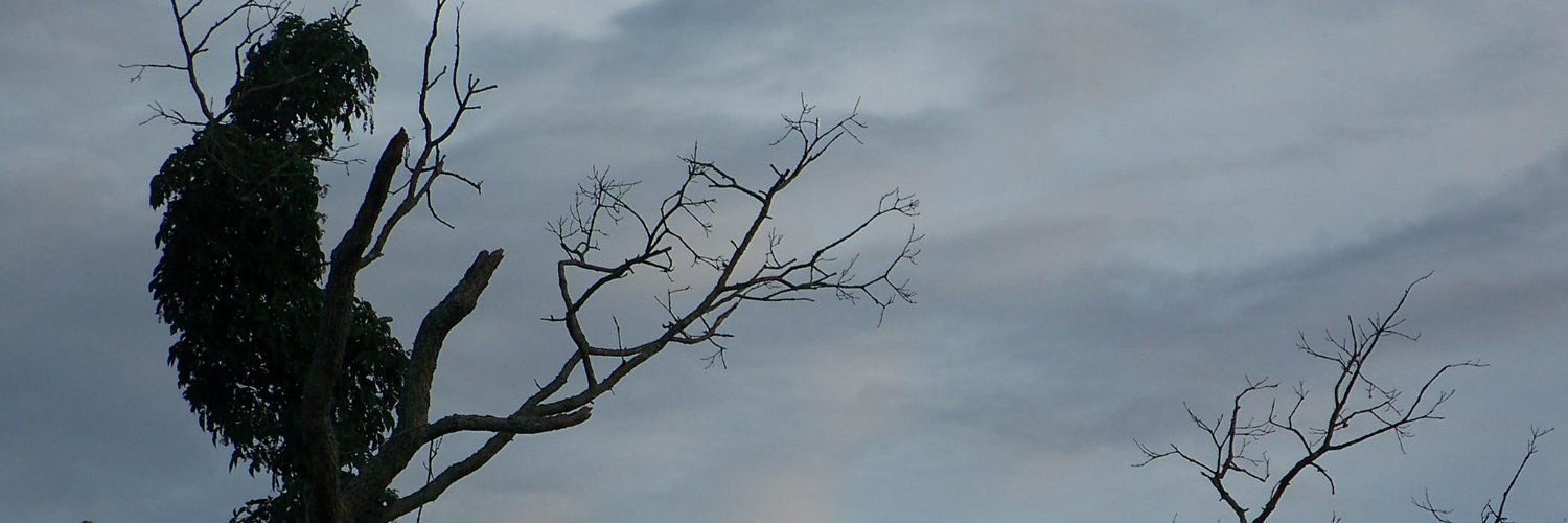 AGAWland's profile banner image