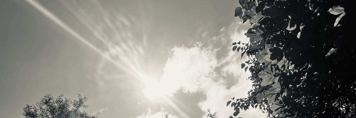 Realidrisfrench's profile banner image