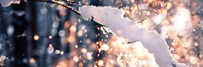 bexilex1990's profile banner image