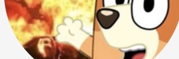 rin_zec's profile banner image