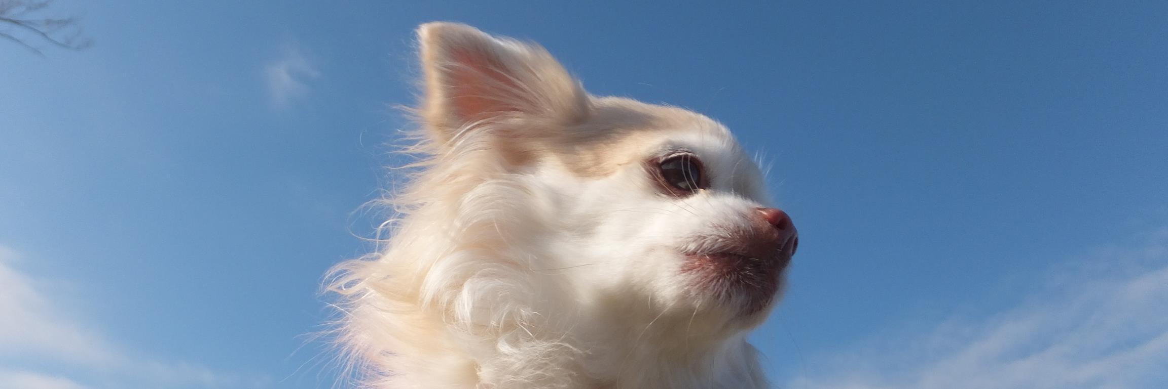 kunie3351's profile banner image