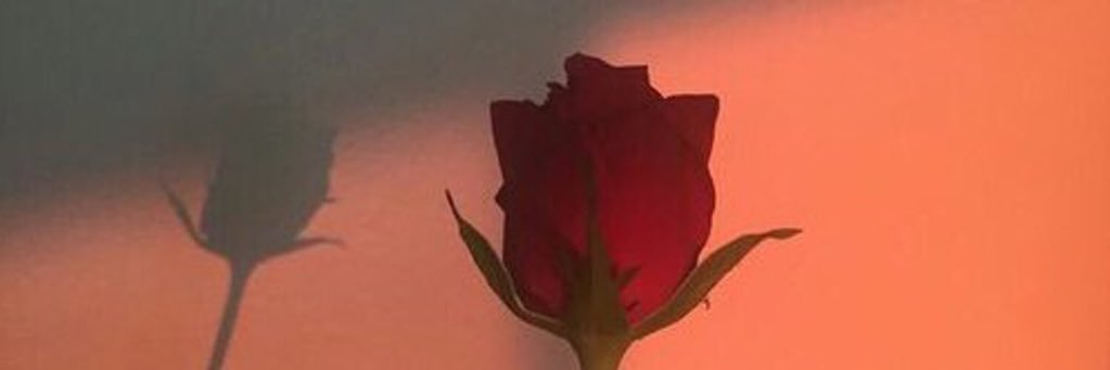 detaiIed's profile banner image