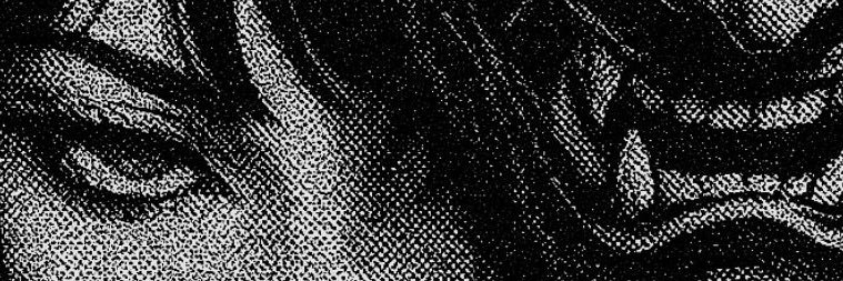 diana banner