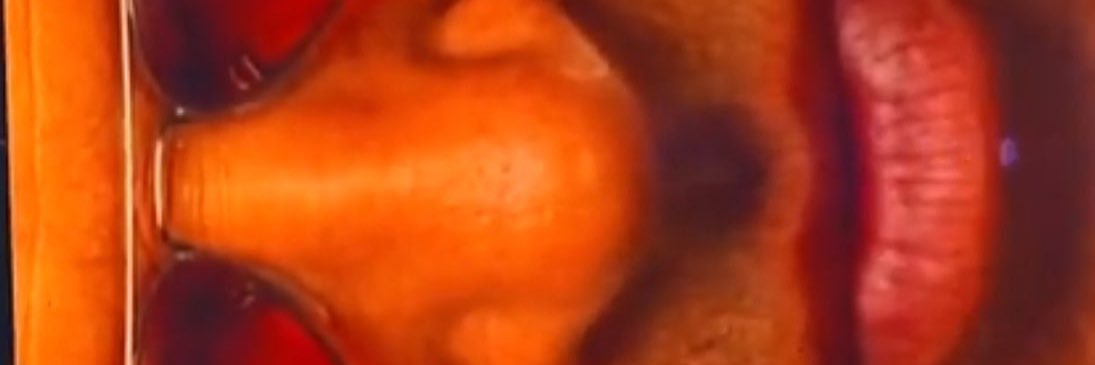 dunkzilla - マーク・デイビス banner