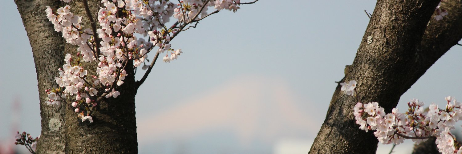 morikinniku469's profile banner image