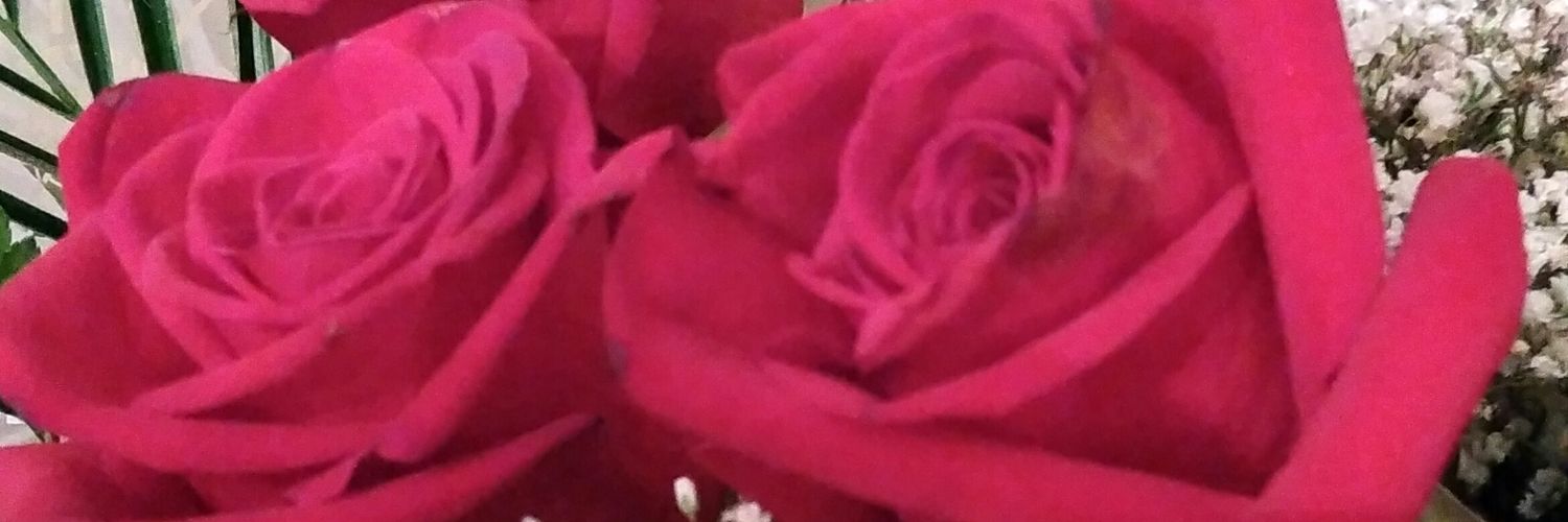 limncarlos's profile banner image