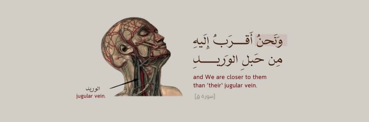Mohd3bdu's profile banner image