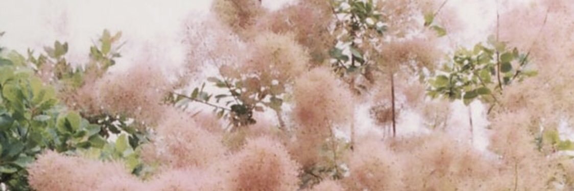 chanmin0215's profile banner image