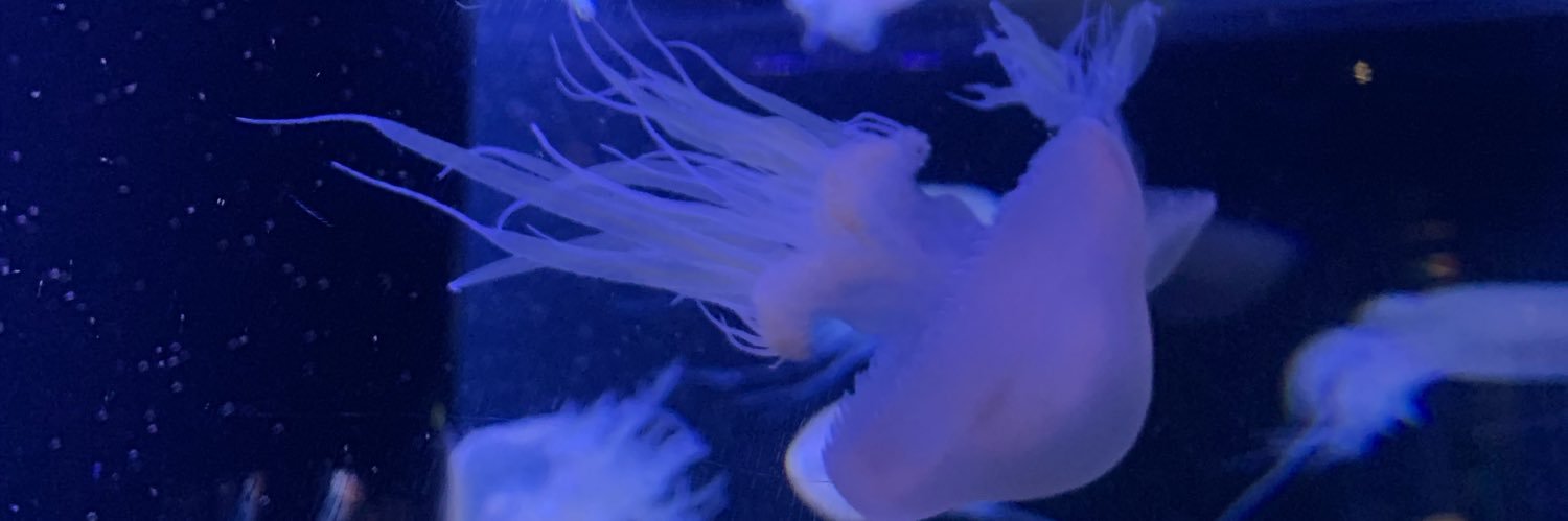 98ko11's profile banner image