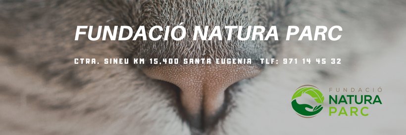 Fundacio_NP's profile banner image