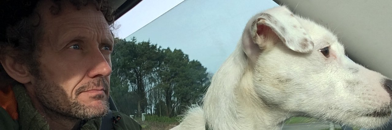 curlygurdy's profile banner image