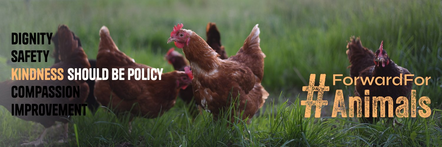 Eurogroup For Animals's banner