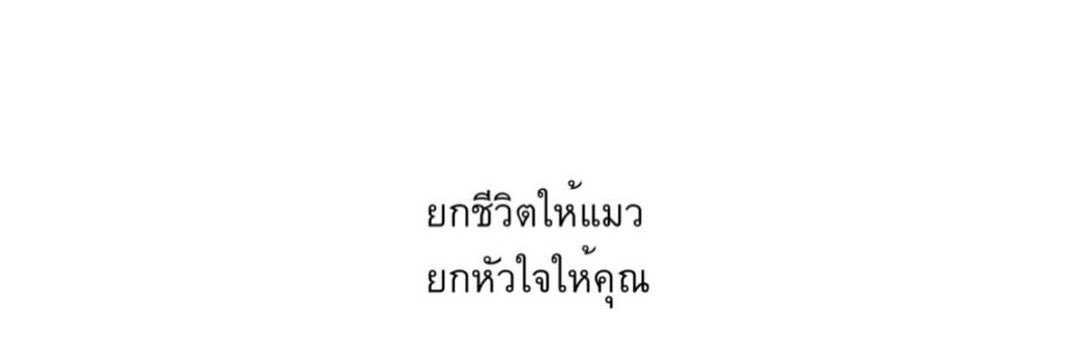 GunyaPat_GG's profile banner image