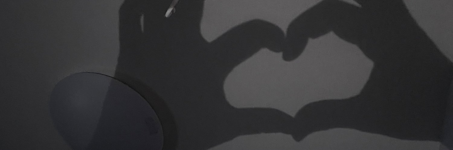 L1R1q's profile banner image