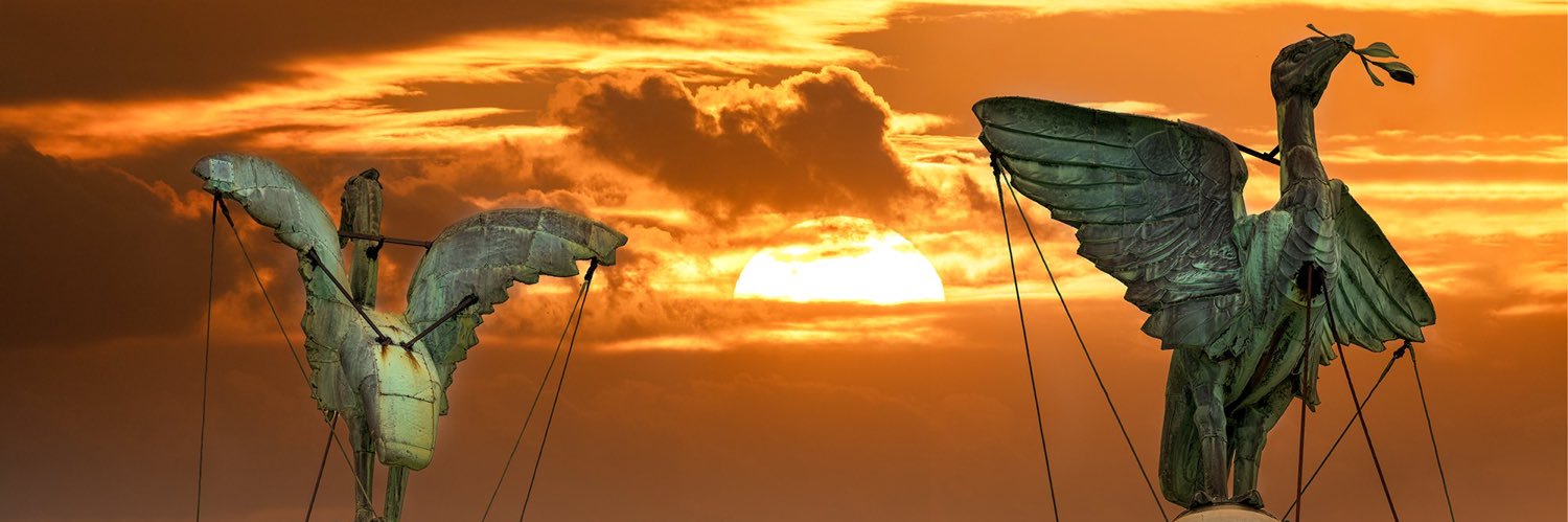 stecono1986's profile banner image
