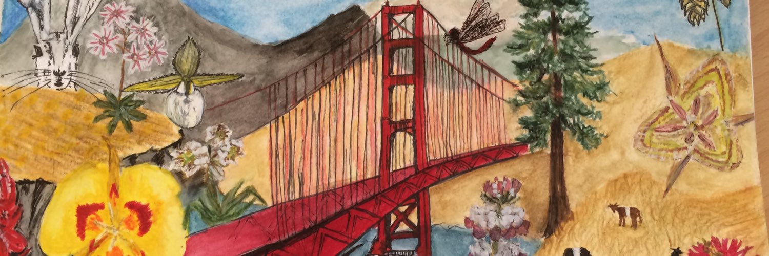 SDequiret's profile banner image