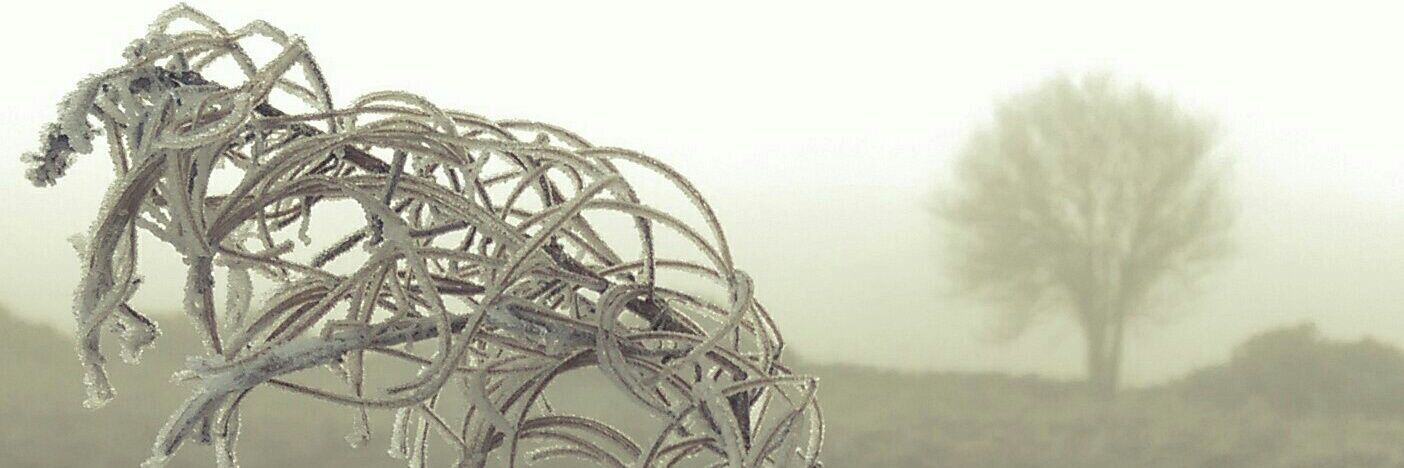 differentbreid's profile banner image