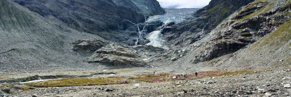 AlpineBiogeo Profile Banner